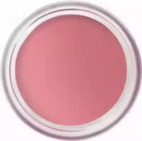 Bobbi Brown Pot Rouge Velvet Matte 8,5 g Tea Rose