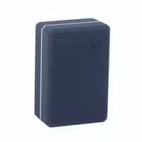 Bodhi Yogabrick Asana Xxl