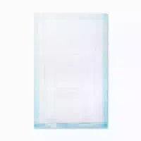 Lifemed Sap Plus Krankenunterlage Saugstark Bettschutz 40 X 20 cm 1 Packung = 15 Stück 15 st