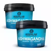 2 X Bodylab Ashwagandha Magnesium Zinc Vitamin B6 Je 120 Kapseln