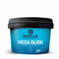 2 X Mega Burn 120 Kapseln