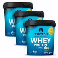 3 X Whey Protein 2000g