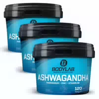 3er Sparpaket Ashwagandha Magnesium Zinc Vitamin B6 Je 120 Kapseln