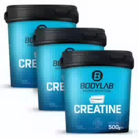 The Creatine Creapure 500g Geschmacksneutral