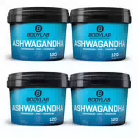 4 X Bodylab Ashwagandha Magnesium Zinc Vitamin B6 Je 120 Kapseln