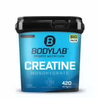 Big Pack Creatine Monohydrate 420 Kapseln