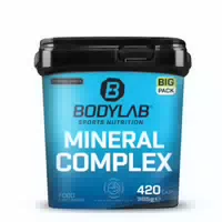 Big Pack Mineral Complex  420 Kapseln