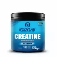 Creatine Monohydrate Mesh 600 500g