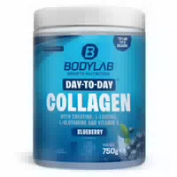 Day To Day Collagen 750g Blueberry