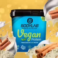 Vegan Protein 1000g Milchreis Zimt