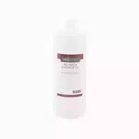 Welltouch Ayurveda Massageöl 1000 Ml