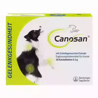Canosan Kautabletten Bei Gelenkproblemen Hund Mit Grünlippmuschel Extrakt Gonex 30 St Kautabletten