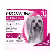 Frontline Tri Act Gegen Zecken, Flöhe Und Fliegende Insekten Für Hunde Xs 2 5 Kg 3 St Lösung