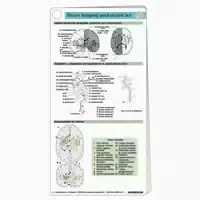 Neuro Imaging Pocketcard Set