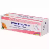 Boiron Dermoplasmine Lippenbalsam