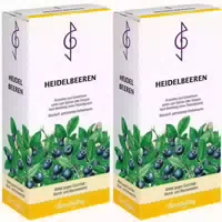 Bombastus Heidelbeeren