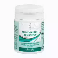 Mundfrisch Bombastus Pastillen Zuckerfrei 55 G