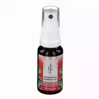 Mundspray Bombastus 20 Ml Spray