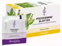 Pfefferminzblätter Bombastus 20x1 5 G Filterbeutel