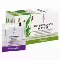Spitzwegerichblätter Bombastus 20x1 4 G Filterbeutel