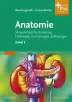 Benninghoff, Drenckhahn, Anatomie