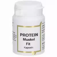 Protein Muskel Fit
