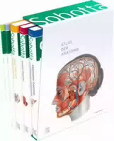 Sobotta Atlas der Anatomie, 3 Bände Lerntabellen Poster Collection im Schuber und 6 Monatiger