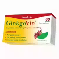 Botaniclife Gedächtnis Energie Ginkgovin 60 St