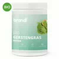 Brandl Gerstengras Pulver Bio | Bio Gerstengras in Premium Rohkost Qualität Unabhängig Laborgeprüft 500 g