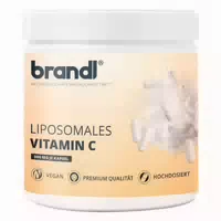 Brandl Liposomales Vitamin C Hochdosiert Vegan | Vit C Ascorbinsäure Kapseln Extern Laborgeprüft 240 St