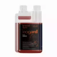Brandon Plus Leogard
