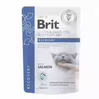 Brit Veterinary Diet Cat Pouch Fillets in Gravy Recovery