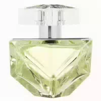 Britney Spears Believe Eau De Parfum 30ml Spray 0,03 l