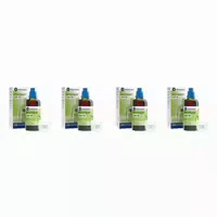 Bronchipret Saft Te