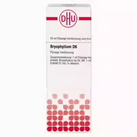 Bryophyllum D 6 Dilution 20 Ml