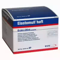 Elastomull Haft 6 Cmx20 m 45476 Fixierbinde 1 st