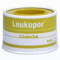Leukopor 5 m X 2,50 cm 2472 1 Pflaster
