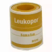 Leukopor 2,5 Cmx5 M 1 St