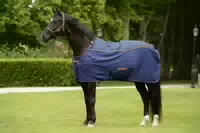 Bucas Therapy Mesh Cooler