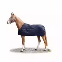Bucas Unterdecke Liner