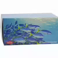Taschentuchbox 30er 1 St