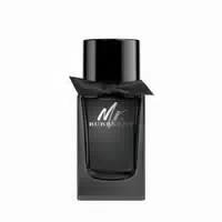 Burberry, Mr Burberry E D P Nat Spray