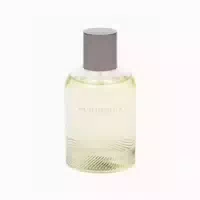 Burberry Weekend Eau De Toilette Für Männer 100ml 0,1 L