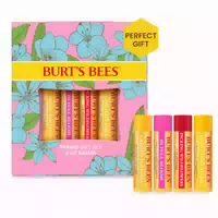 Burts Bees Lip Balm Bit Of Burts 4er Pack