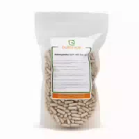 Buxtrade Ashwagandha Ksm 66 Kapseln