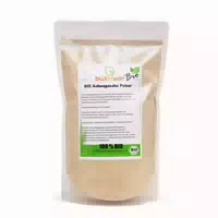0.1 kg