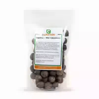 Buxtrade Coquitos Mini Kokosnsse