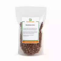 Buxtrade Haselnsse Natur