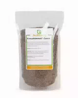 Buxtrade Kreuzkmmel Cumin