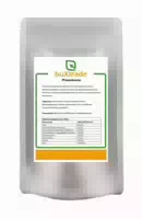 0.1 kg